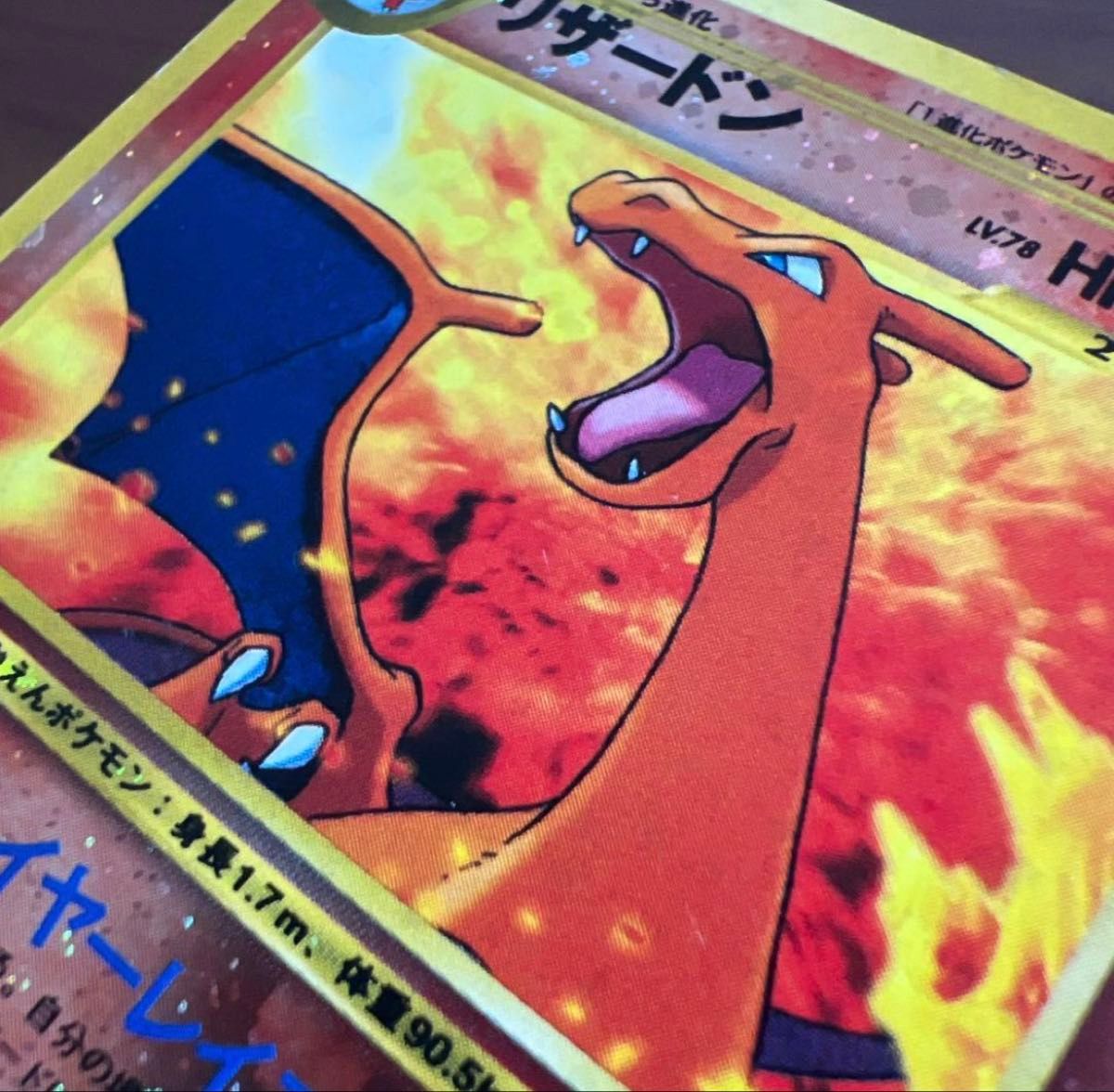 リザードン 旧裏 ポケモンカード プレミアムファイル2 ポケモンカード